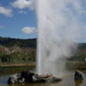 Meet your Posher, Doray